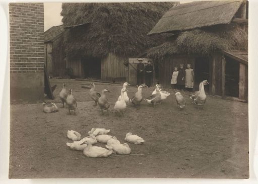Farmyard, with geese, ducks and children (animals)