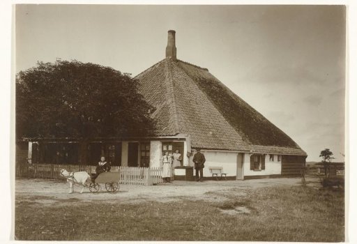 Farm 'Weltevreden' in De Cocksdorp on Texel