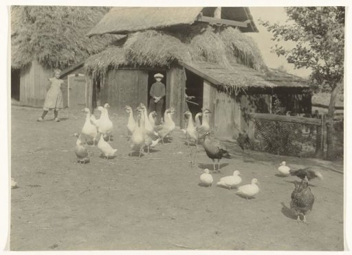 Farmyard of a farm with geese, ducks and children