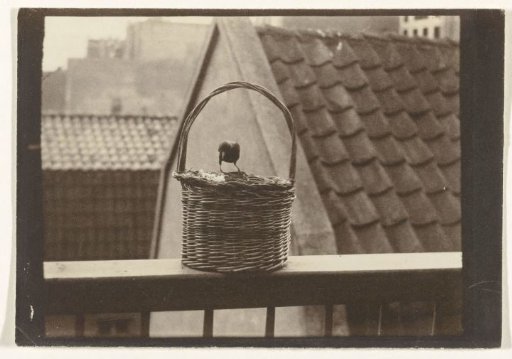 Bird on a basket on the edge of a balcony