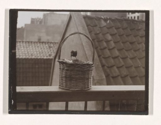 Sparrows on the Balcony