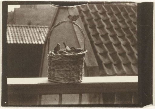 Four sparrows on a basket on the edge of a balcony