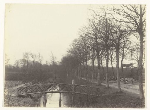 View of a Nursery and Forest in Bergen