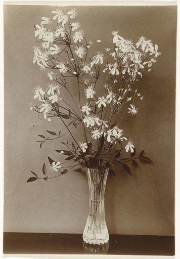 Vase with clematis