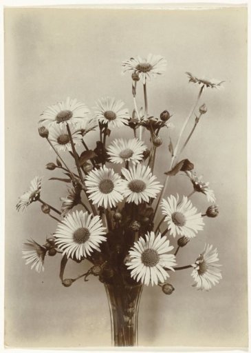 Bunch of plantain and sunflowers