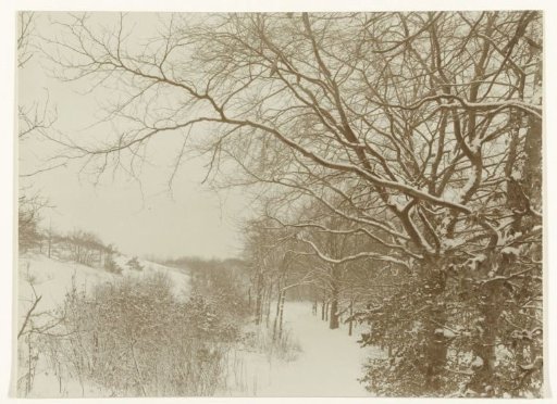 Dune Landscape near Bloemendaal Under the Snow