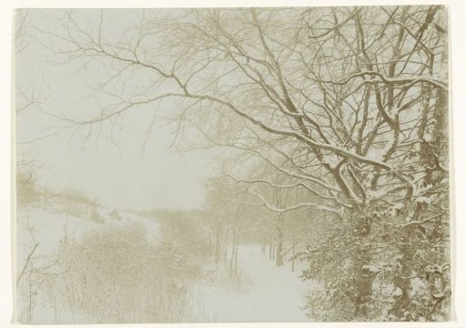 Snow-Covered Hunting Dunes Near Bloemdaal