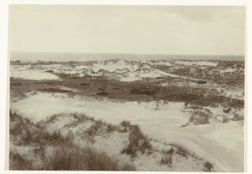 Dune landscape near Haamstede, Schouwen, Zeeland