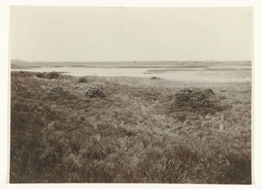 Dune Landscape De Muy, Texel
