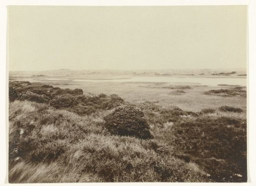 Dune Landscape De Muy, Texel