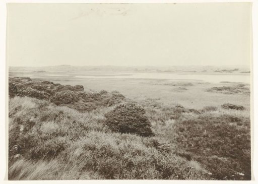 Dune Landscape De Muy, Texel