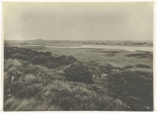 The Muy on Texel