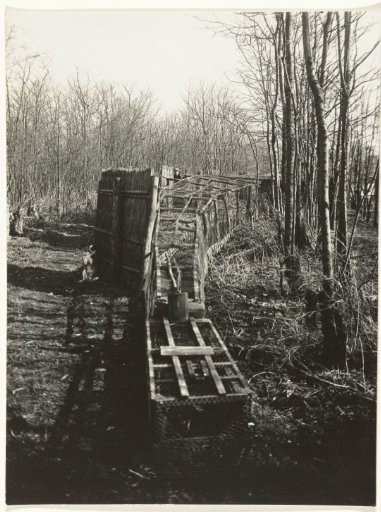 Duck Trap