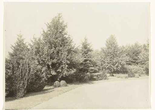 View in a Garden or Park