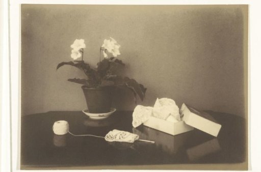 Still Life with Plant and Crochet Work
