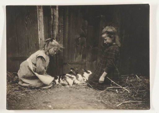 Two girls kneeling beside a number of rabbits