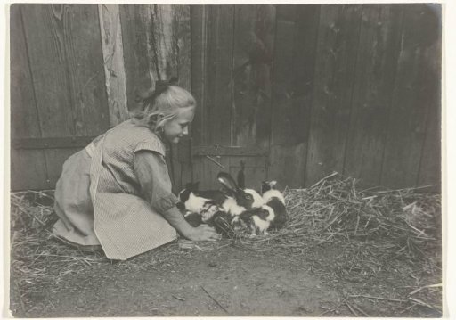 Girl Kneeling Beside a Number of Rabbits