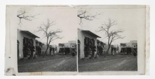 Street Scene in Tunis