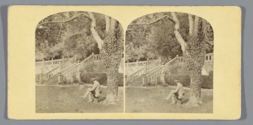 Man reading a book under a tree