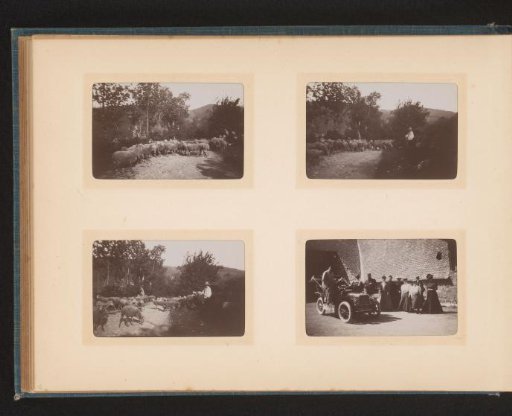 Three shots of sheep on a road and group portrait of various people at a farmhouse