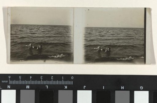 Children swimming in the Zuiderzee