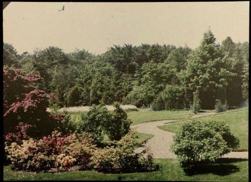View in a park
