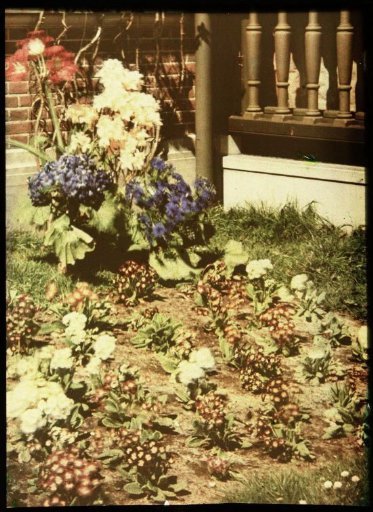 Corner of a garden with flowers behind (?) a house