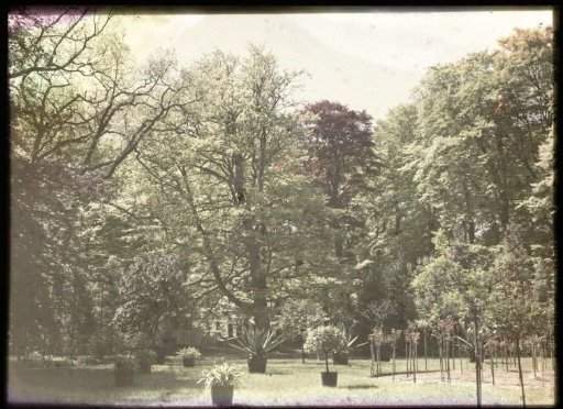 View in a garden