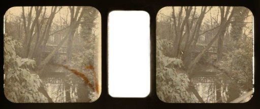 Bridge in a Forest
