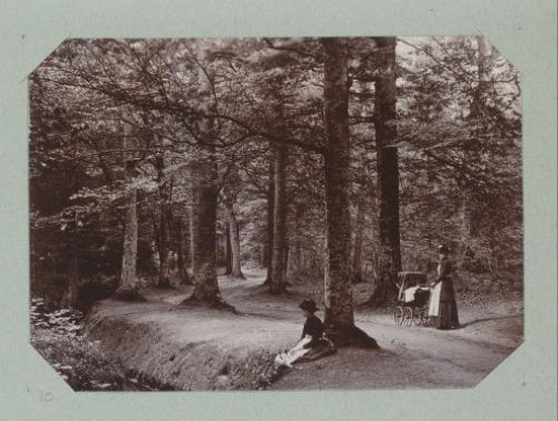 Two women and a pram in the Asserbos