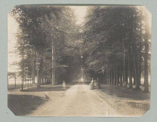 Two women on a tree-lined avenue in the Netherlands, possibly at Amelisweerd