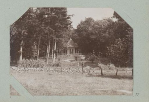 House in a forest