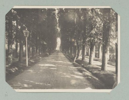 Avenue to Mariëndaal, Oosterbeek