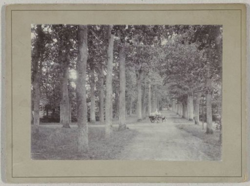 View of an avenue in front of the country house Overcinge with a milkman and a dog cart in Havelte