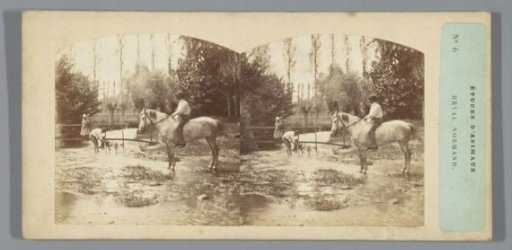 Man on horseback, standing in a stream
