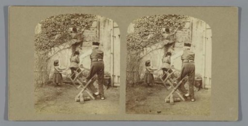 Man sawing and children retrieving a bird's nest