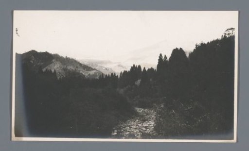 Mountainous landscape with forests, Nikko, Japan