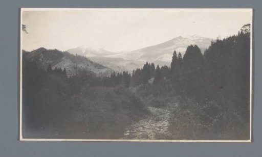 Mountainous landscape with forests, Nikko, Japan