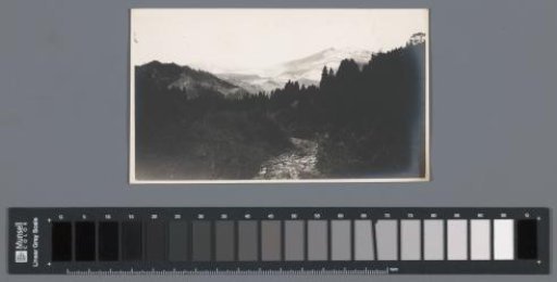 Mountainous landscape with forests, Nikko, Japan