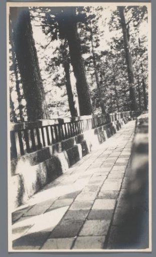 A road with a balustrade among trees, Nikko, Japan