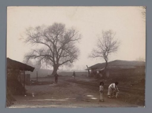 Children Playing with a Dog