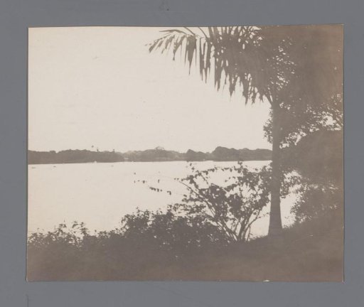 View of a River from a Vegetated Bank, Southeast Asia