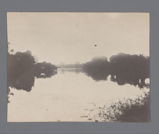 View of the vegetated banks of a river, South-East Asia