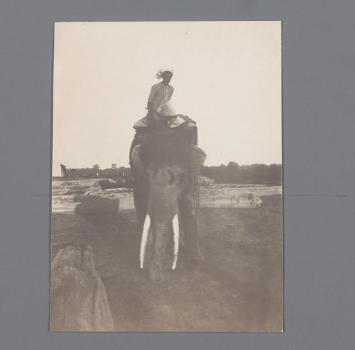A rider on an elephant, India
