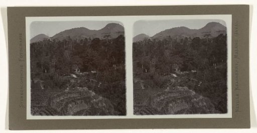 Mountain view of Gunung Kawi from the densely forested valley of Malang
