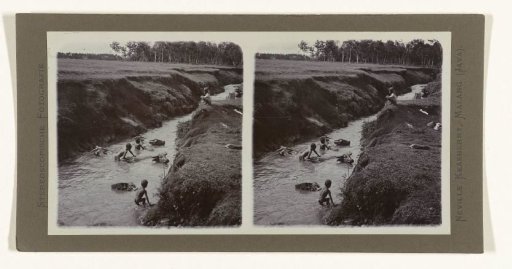 Boys in the river near bathing water buffalo