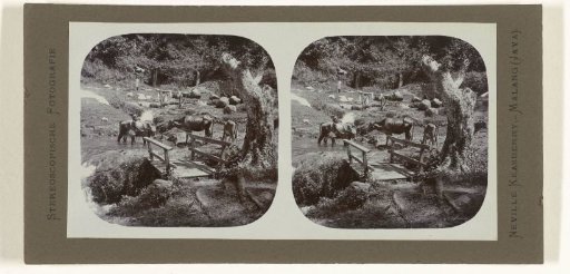 A landscape with drinking cows and washing people near Kepandjen.