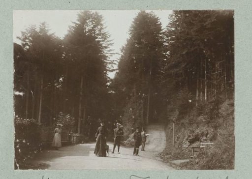 People Walking on the Street