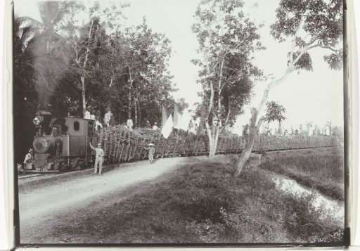 Sugarcane transport at the sugar enterprise Nieuw Tersana, Cheribon, former Dutch East Indies