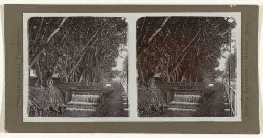 Watercourse in Bandung.